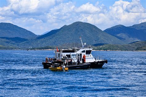 羅開光鯨魚|西貢鯨魚｜漁護署：下午知悉警方於糧船灣發現鯨